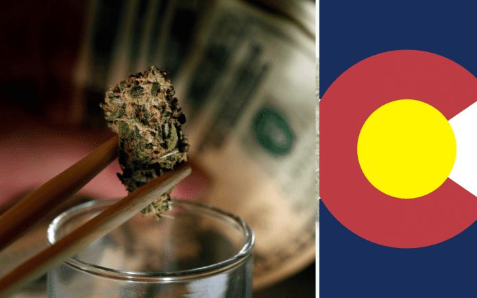 colorado-weed