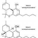 Delta8-and-9-Tetrahydrocannabinol