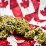 canada-cannabis