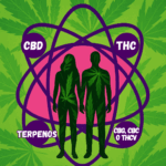 Descubre tu perfil cannábico: ¿Sativa, Índica o Híbrida?